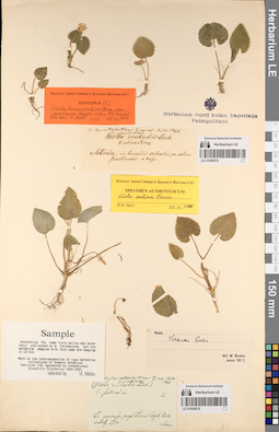 LE 01056879