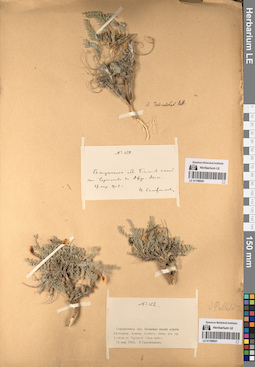 LE 01196050