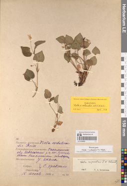 LE 01056882
