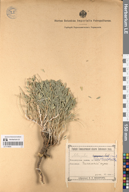 LE 01196054