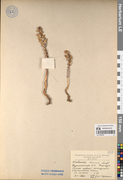 LE 01196187