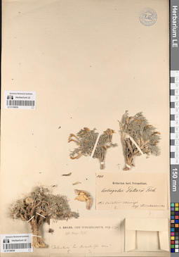 LE 01196059