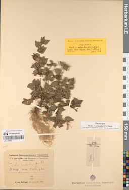 LE 01056889