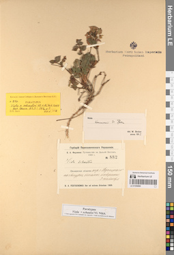 LE 01056890