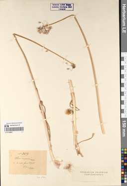 LE 01196601