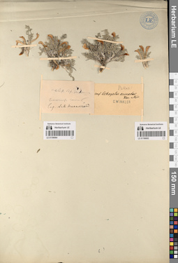 LE 01196064