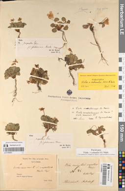 LE 01056893