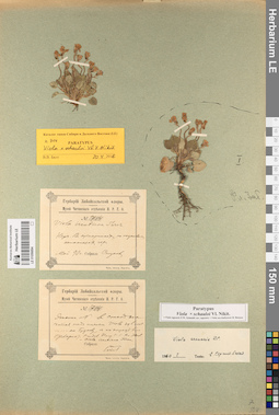 LE 01056894