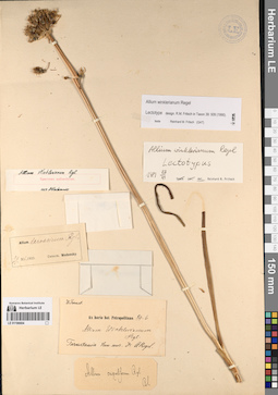 LE 01196604