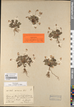 LE 01056895