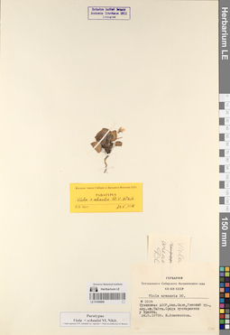 LE 01056898