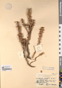 LE 01196202