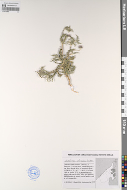 LE 01193693