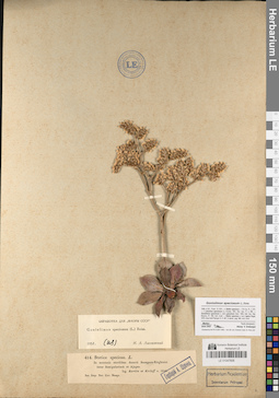 LE 01047606