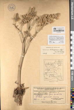 LE 01047595