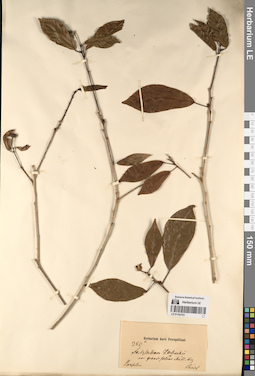LE 01193751