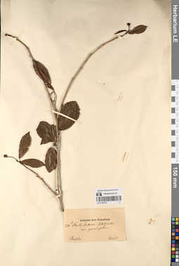 LE 01193752