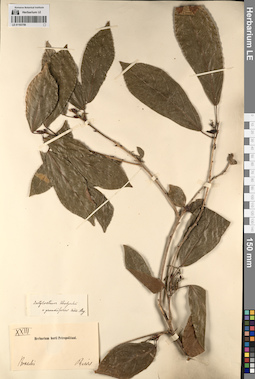 LE 01193759