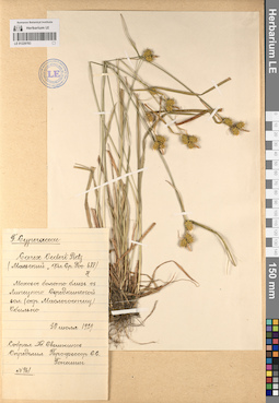 LE 01229783
