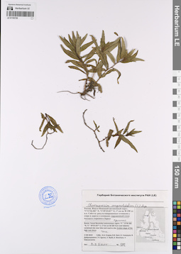 LE 01193720
