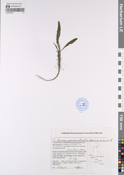 LE 01193732