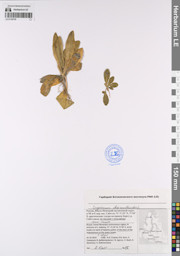 LE 01193735