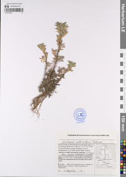 LE 01193737
