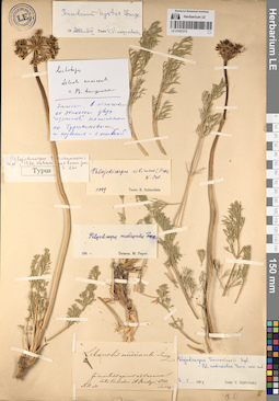 LE 01057275