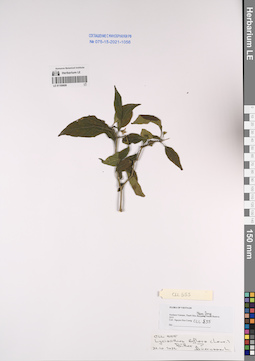 LE 01169609