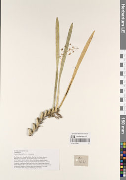 LE 01170358