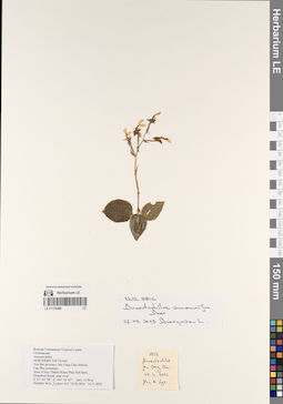 LE 01170388