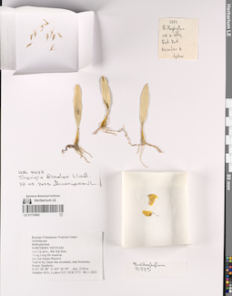 LE 01170402