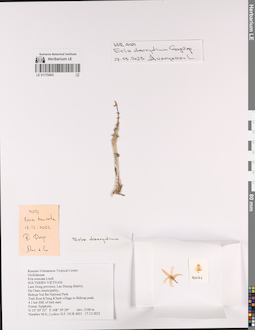 LE 01170403