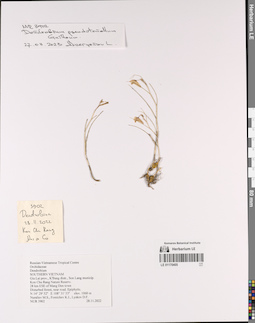 LE 01170405