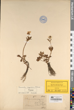 LE 01044924
