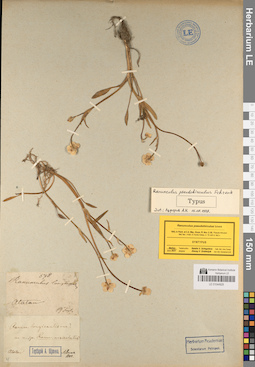 LE 01044928