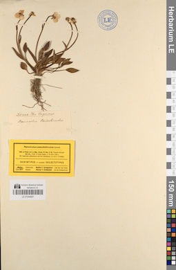 LE 01044931