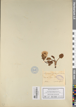 LE 01044941