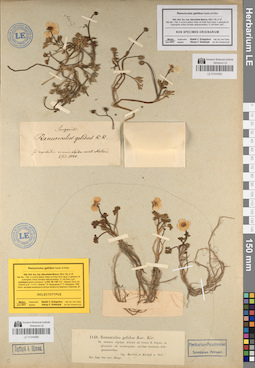 LE 01044965