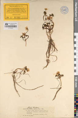 LE 01044967
