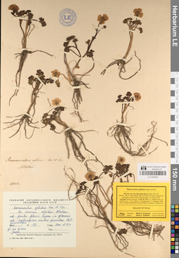 LE 01044970