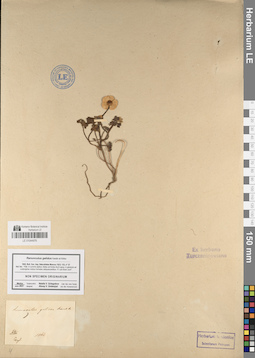 LE 01044976