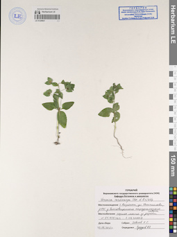 LE 01229921