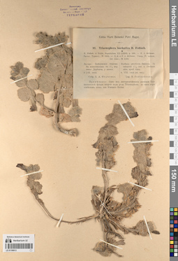 LE 01196612