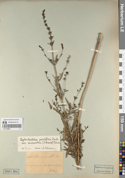 LE 01196664