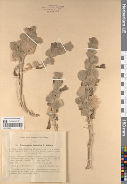 LE 01196624