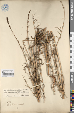 LE 01196674