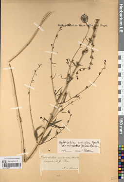 LE 01196677