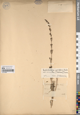 LE 01196680