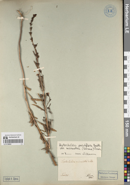 LE 01196683